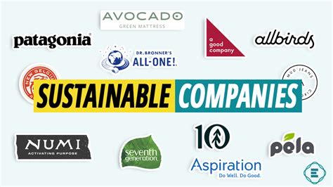 The 15 Most Environmentally Friendly Sustainable Companies 2023