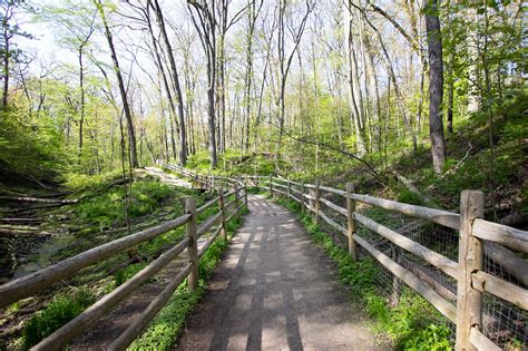 The Top 10 Walking Trails In Toronto