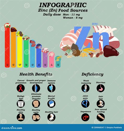 Health Benefits Of Zinc Supplement Infographic Vector Illustration Stock Vector Illustration