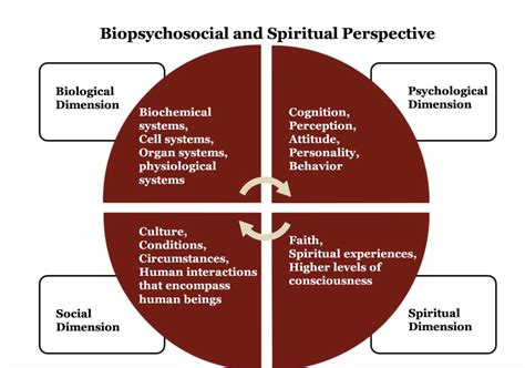 Mental Health And Spirituality The Biopsychosocial Spiritual Model