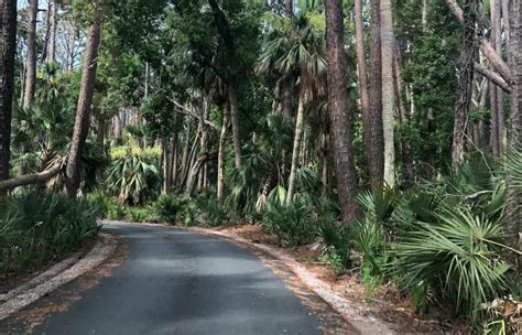9 Must See Spots Inside Hunting Island State Park Explore Beaufort Sc