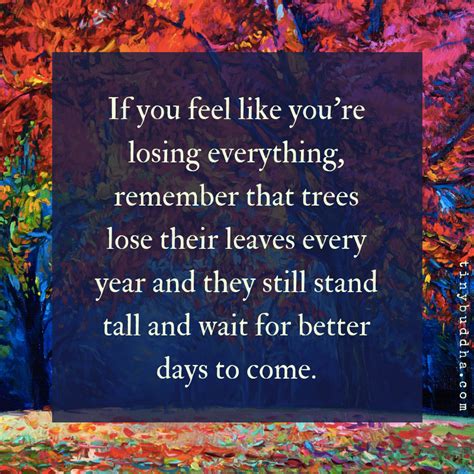 If You Feel Like Youre Losing Everything Remember That Trees Lose
