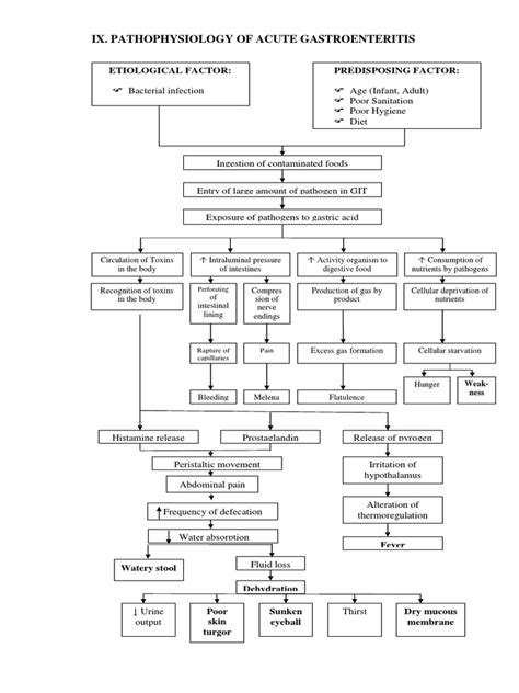 Pathophysiology Of Acute Gastroenteritis
