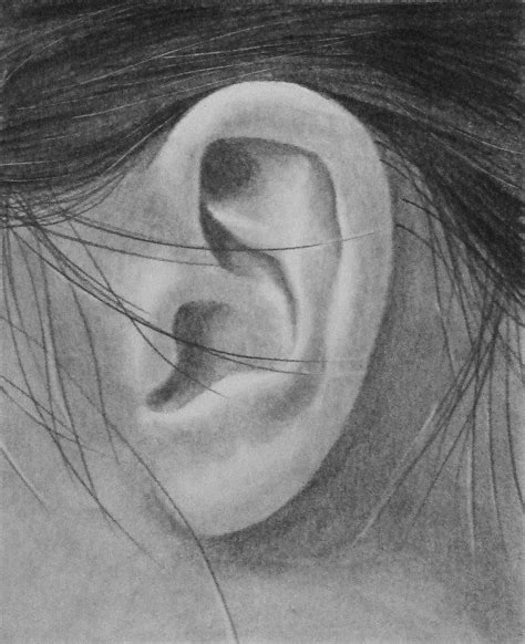 How To Draw The Ear Tutorial Realistic Drawings Portrait Drawing