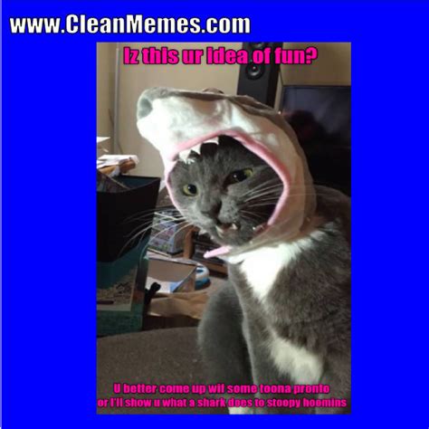 Cat Memes Page 7 Clean Memes