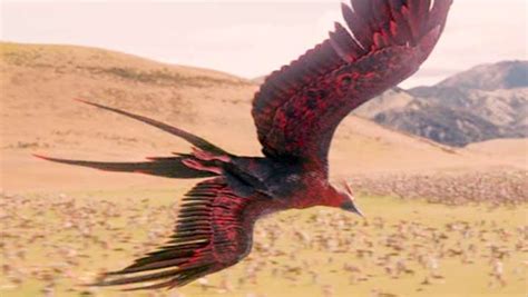 Creatures Real Phoenix Bird Creatures Narnia