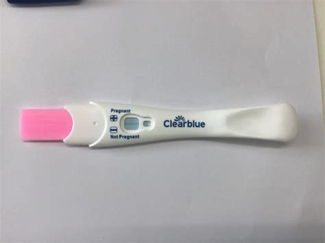 How Does A Pregnancy Test Work