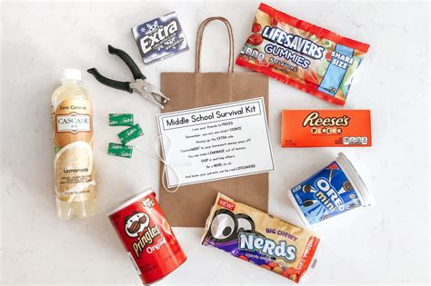 How To Make A Diy Middle School Survival Kit Grad T With Free