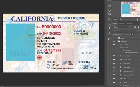 California Driver License Psd Template Mr Verify
