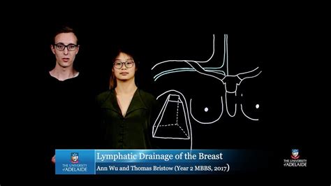 Lymphatic Drainage Of The Breast Youtube