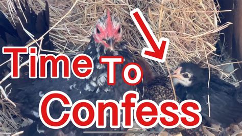 Airing Dirty Laundry: Sanctuary Style - YouTube