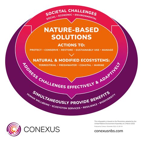 Nature Based Solutions Definition Infographics Conexus