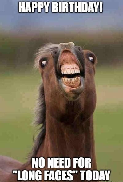20+ Funny Birthday Wishes for Horse Lovers | Funny Birthday Wishes