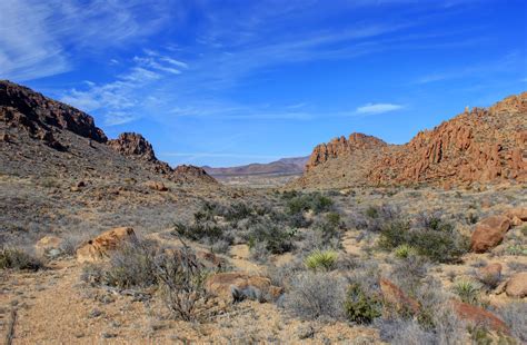 Desert And Hills At Big Bend National Park Texas Image Free Stock