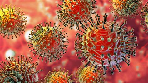 Yaravirus El Nuevo Virus Con Genes No Identificados