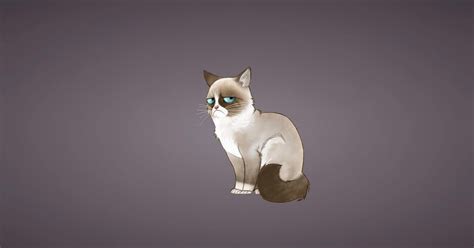 Wallpaper Sad Cat Cartoon Encrypted Tbn0 Gstatic Com Images Q