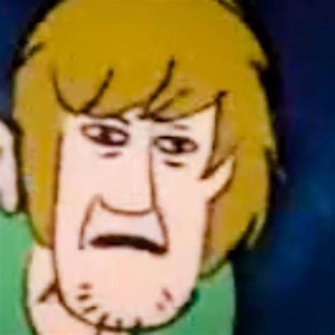 Shaggy Pfp Scooby Doo Shaggy Matthew Lillard Scream Meme Scoobydoo