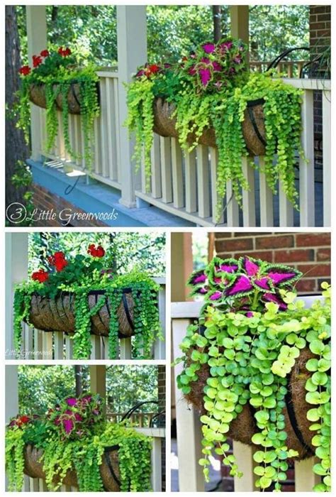 Outdoor Hanging Planter Ideas Are Perfect To Add A Bit Of Color To Your