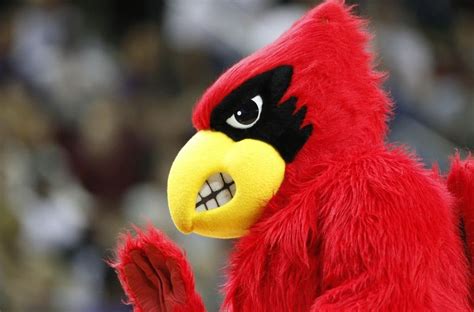 Ronald arthur stein, 72, born september 27, 1937 in east st. Louisville Basketball: Cardinals snag third top-100 ...