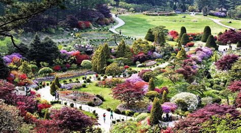 Nami Island Garden Of Morning Calm And More Seoul South Korea Klook