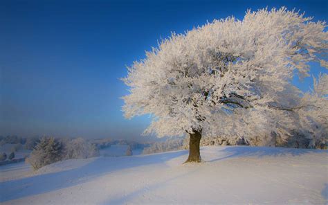 Beautiful Winter Landscape Macbook Air Wallpaper Download Allmacwallpaper