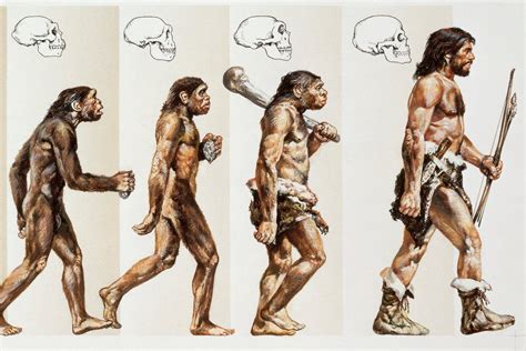 What Will Humans Look Like 10 000 100 000 Years From Now Answer By Mshelomi Quora Scoopnest