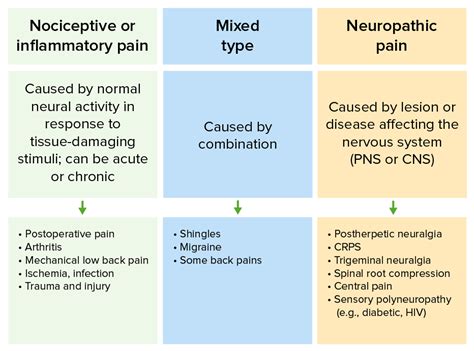 Physiology Of The Pain Pathway Types Referred Pain Images And Photos
