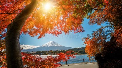 Mount Fuji In Autumn Color Japan Stock Image Image Of Hakone