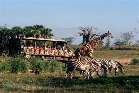 Top 10 Attractions At Disney Worlds Animal Kingdom
