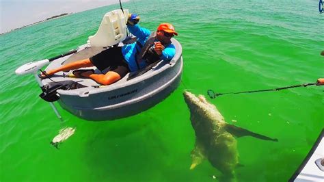 Shark Fishing Florida Fishing Huge Shark From An Ultra Skiff