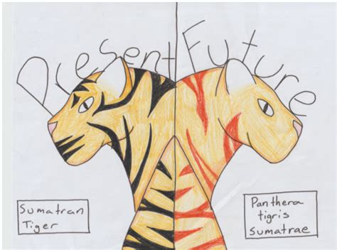 Future Engineers Future Creatures Challenge Gallery Sumatran