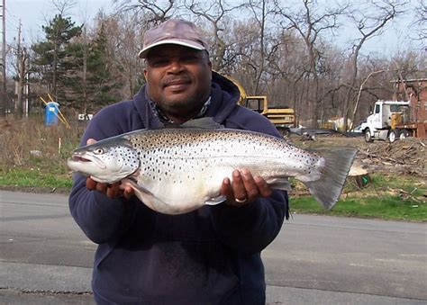Fish Erie Angler Reports