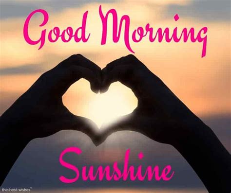 Lovely Good Morning Sunshine Images [ Best Collection ] Good Morning Love Good Morning Quotes