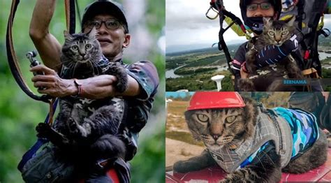 Jika memang ada latar ilmu yang memadai, maka tidak mengapalah digunakan. "Dah Tawan Lebih 30 Gunung Termasuk 7 Gunung Paling Tinggi ...
