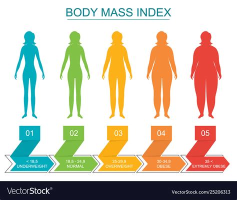 Cartoon Body Mass Index Infographics Concept Card Vector Image