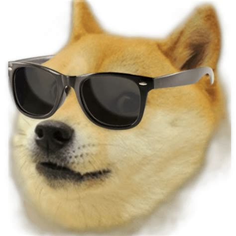 What's with dogecoin and the dog? Doge - YouTube