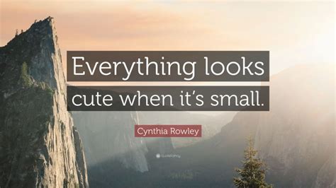 Cynthia Rowley Quote Everything Looks Cute When Its Small