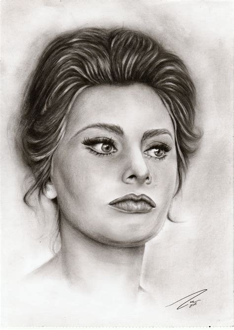 Sophia Loren Graphite Art Celebrity Portraits Woman Movie