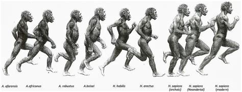 When Was Running Invented Fascinating Look At History Of Running