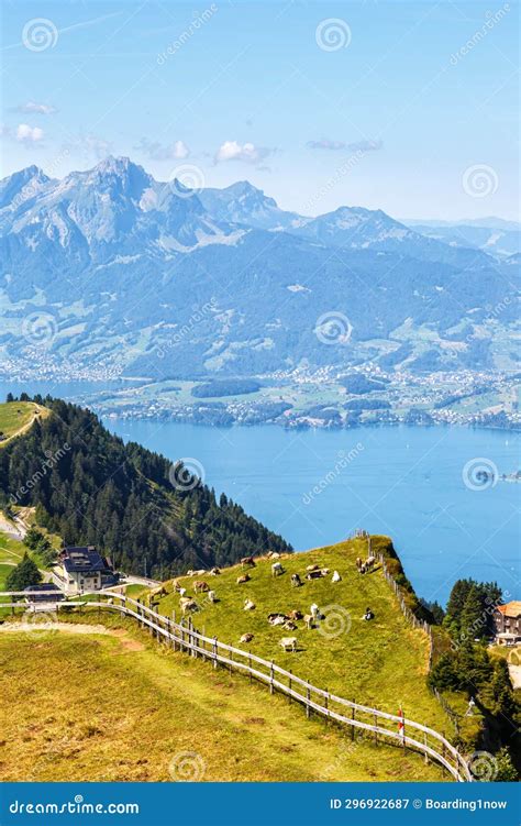 View From Rigi Mountain On Swiss Alps Lake Lucerne And Pilatus