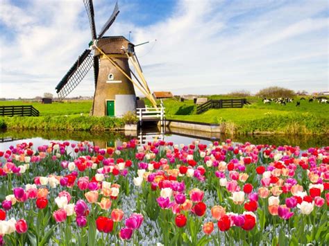 Amsterdã, a bela capital da Holanda | Portal Diário do Aço