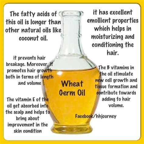 Ginger root oil, wheat germ oil. Wheat germ oil Highly Comedogenic (4/5-5/5) | Natural hair ...