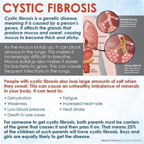 Cystic Fibrosis Medications Nursing Nursing School Notes Nursing Notes