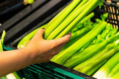 When And How To Harvest Celery Gardeners Path