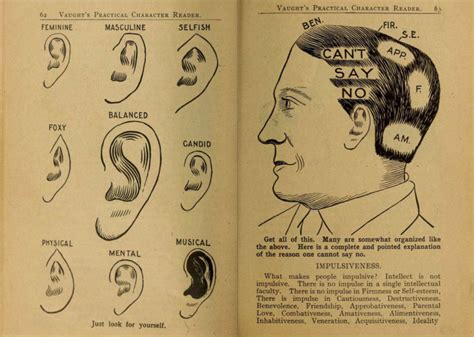 33 Phrenology Charts That Once Passed For Medical Science