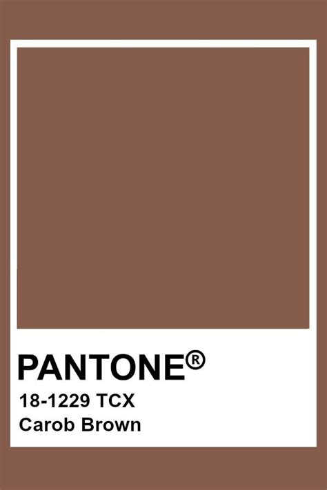Pantone Carob Brown Pantone Colour Palettes Pantone Color Pantone Tcx