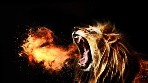 Free download hd or 4k use all videos for free for your projects. Fire Lion Wallpapers ·① WallpaperTag