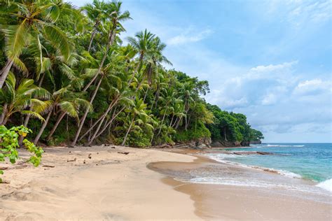 The 12 Best Beaches In Panama In 2023 Caribbean And Pacific