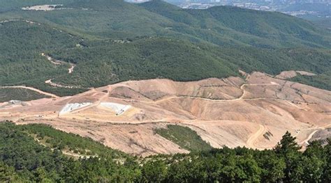 Orman genel müdürlüğü, tanzimat fermanıyla beraber 1839 yılında ormancılık hizmetlerinin takibi için ticaret nezaretine bağlı bir orman müdürlüğü olarak kurulmuştur. Orman Genel Müdürlüğü'nden büyük itiraf: Ormanlarımız ...