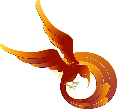 Best Phoenix Bird Rising Illustrations Royalty Free Vector Graphics